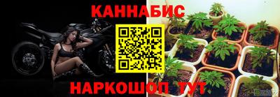 первитин Можга