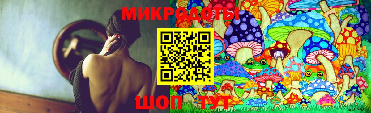 Псилоцибиновые грибы Psilocybine cubensis  Вход с VPN  Алапаевск 
